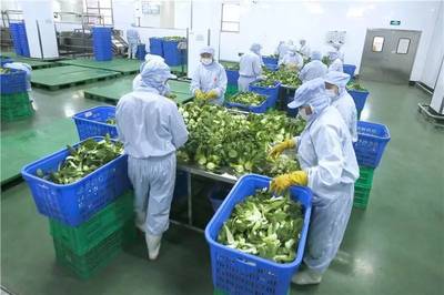 巴比饅頭全透明化新工廠車墩投產(chǎn),未來(lái)市民可通過(guò)手機(jī)“監(jiān)控”生產(chǎn)
